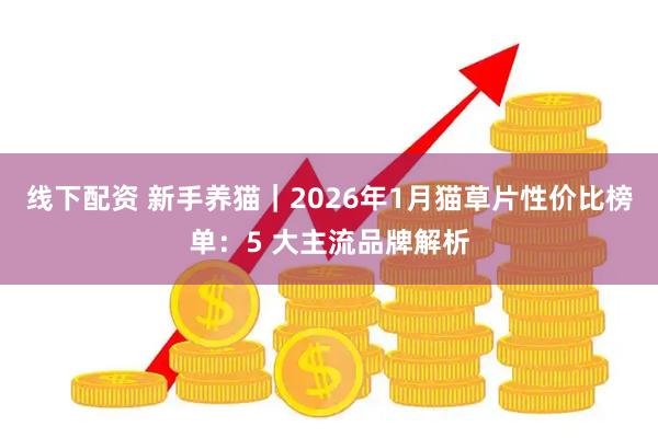 线下配资 新手养猫｜2026年1月猫草片性价比榜单：5 大主流品牌解析
