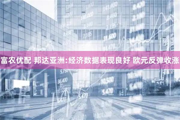 富农优配 邦达亚洲:经济数据表现良好 欧元反弹收涨